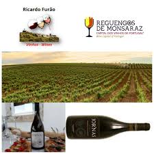 Trabalhamos com grandes marcas de bebidas com o melhor preço do brasil. Ricardo Furao Vinhos Azeites E Produtos Regionais A Sub Regiao De Reguengos De Monsaraz Area Geografica Os Concelhos De Reguengos De Monsaraz Evora Parte Da Freguesia De Sao Vicente Do Pigeiro