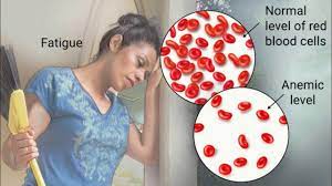 Bagi wanita normal yang tidak hamil, bacaan hemoglobin yang ideal ialah 12.0 gd/l ke atas. 6 Sebab Hb Rendah Semasa Mengandung Yang Ibu Hamil Patut Ikhtiar Elak