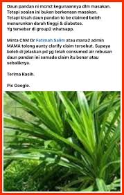 Daun jambu biji ampuh mengobati kolesterol tinggi dan penyakit lainnya. Jus Pandan Boleh Bantu Turunkan Darah Tinggi Dan Kencing Manis Tapi Ada Caranya Pakar Kimia Jelaskan Lanjut Keluarga