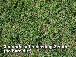 Department of agriculture plant hardiness zones 5 through 11. Seeding A Zenith Zoysia Lawn With Soil3 Seeds Lawn Zoysia Grass