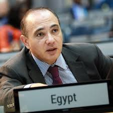 Chair and Bureau of the Committee of Permanent Representatives