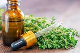 Hold The Prescription Try These 7 Natural Antibiotics Instead Mdlinx