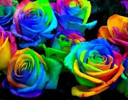 Find over 100+ of the best free flowers images. Rainbow Roses Vase Arrangement In Eastman Ga Martha Sheldon Flowers Events