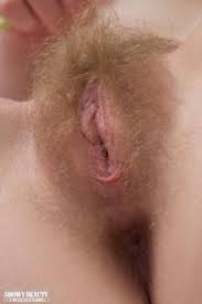 Natural blonds are relatively rare in because blond is recessive. Free Blonde Hairy Pictures Xnxx Com