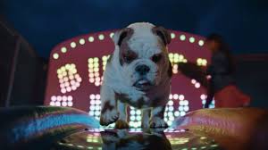 Censuses corresponds to the abbreviated designation of the statistical operations of the general population. Churchill 2021 Advert Song Dog On Slide Tv Advert Music