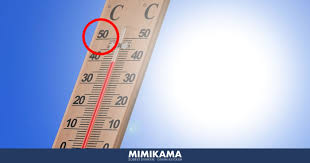 Die gefühlte temperatur soll hier dann sogar bei 50 grad und mehr liegen. Todliche 50 Grad Hitze Kommt Nach Europa
