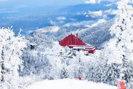 Kocaeli ili, pronounced koˈdʒaeli) is a province of turkey and one of only two to not have the same official name as its capital, i̇zmit, which is thus also sometimes called kocaeli. The Green Park Kartepe Resort Spa Hotel Kocaeli Turkey Overview