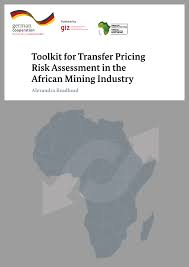 Https Www Bmz De Rue Includes Downloads 2017 Giz Transfer Pricing Risk Tool En Pdf