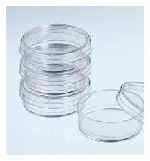 Holen sie sich ein 25.000 zweites chaco culture 35 pan r stockvideo mit 29.97fps. Falcon Easy Grip Tissue Culture Dishes 35 Mm Easy Grip Falcon Easy Grip Tissue Culture Dishes Fisher Scientific