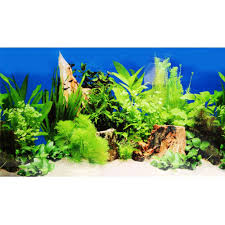 150 40cm Aquarium Fish Tank Beautiful Grass Sticker 2017 New Decoration High Definition Background Paper Fish Tank Paper Fish Aquarium Fish Aquarium Fish Tank