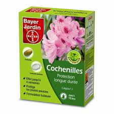 Maybe you would like to learn more about one of these? Cochenilles Longue Duree Bayer Jardin 200 Ml Traitement Des Vegetaux Vegetal Semence Traitement Jardin Exterieur
