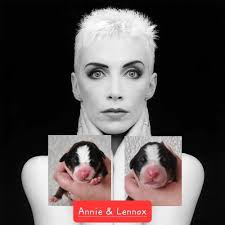 Bonnie Brooke Bernese