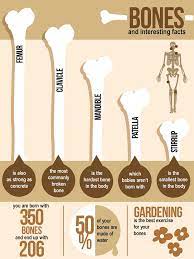 Pin On Healthy Stuff