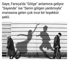 Sayende Guvenmemeyi Ogrendim En Iyi Alintilar Ilham Verici Alintilar Ilham Veren Alintilar