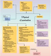 Chapter 22 Health Assessment You Ll Remember Quizlet