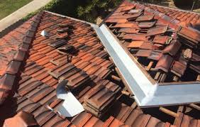 Rudolph raath email lozdan & clark +27(0)16 421 3464 vereeniging contact: Roofing Specialists Roof Repairs Restorations And New Roof Installations