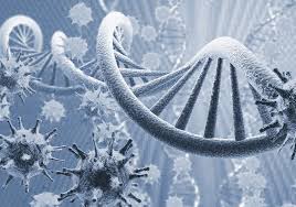 Ancient Viral DNA Plays a Role in Human Disease and Development | The  Scientist Magazine®