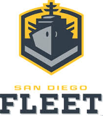 Image result for Yellow 2018 Fleet