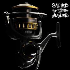 Daiwa Bg Sw Spinning Reel Review Salted Angler