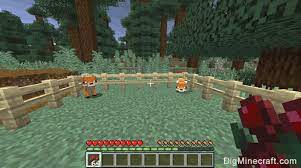 Also, if you choose to breed a white and a red fox, then their baby has a 50 percent chance of being either white or red, whereas two of the same colour will. How To Breed Foxes In Minecraft