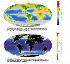 Measuring Global Ocean Production From Space Download