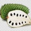 Durian adalah nama tumbuhan tropis yang berasal dari wilayah asia tenggara, sekaligus nama buahnya yang bisa dimakan. 1