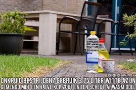 bestrijd onkruid met azijn zout en afwasmiddel afwasmiddel tips nuttige tips