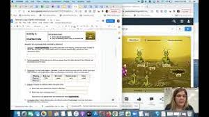 Inheritance Gizmo Activity B Cute766