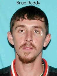 Operation No Show...