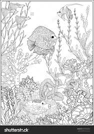 Search through 623,989 free printable colorings at getcolorings. Dolphin In A Reef Coloring Sheet Peepsburgh