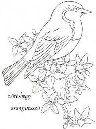 Kapcsolodo Kep Bird Drawings Birds Embroidery Designs Animal Coloring Pages
