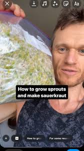 Hot to grow your own sprouts and ferment your own sauerkraut. , The cost to  health ratio of these two foods is astronomical. , #nutrition #food #health  #wellness #athome #diy #sprouts #sauerkraut