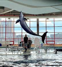 Baltimore's Inner Harbor offers something for everyone