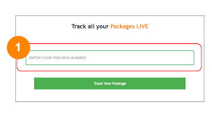 Advice on which service (provider) should be used to resolve the tracking number. Ems Tracking Track Your Package Live