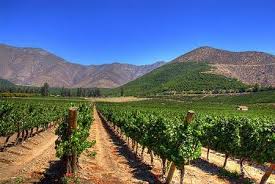 Resultado de imagen para ruta del vino talca