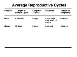 lecture 9 estrous cycles