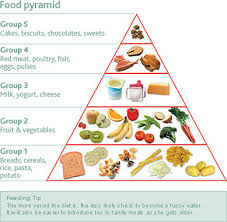 ivf diet tips ways to improve your diet before during and