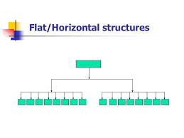 Bm 07 Organization Design