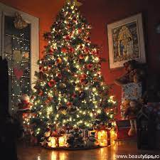 În românia bradul de crăciun a fost împodobit pentru prima dată în palatul regelui carol i de hohenzollern, în anul 1866, iar de atunci românii au bradul de crăciun era împodobit, la început, cu fructe, flori de hârtie sau biscuiți. Semnificatia Bradului De Craciun De Ce Se Impodobeste In Ajun Si De Unde Provine Acest Obicei