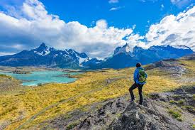 A journey through the wilds of torres del paine national park is no small feat. 8 Best Day Tours Day Hikes In Torres Del Paine Chile Without Camping