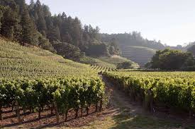 We have some great deals of great napa valley wines. The 8 Best Napa Valley Wineries For Cabernet Sauvignon