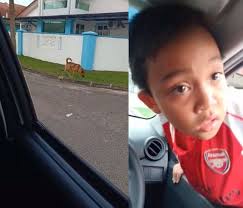 Akibat kemalangan itu, kanak kanak itu tercampak dari cermin sisi belakang kanan dan terjatuh ke bawah dari jejambat. Dia Kejar Saya Tu Dia Nampak Saya Anjing Coklat Punya Hal Jiran Cerita Detik Cemas Budak Lelaki Bolos Tingkap Peluk Seat Kereta Viral Mstar