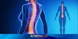 Kami mengumpulkan soal dan jawaban dari tts (teka teki silang) populer yang biasa muncul di koran kompas, jawa pos, koran tempo, dll. 2 Cara Memperbaiki Tulang Belakang Yang Terlanjur Bengkok Halaman All Kompas Com