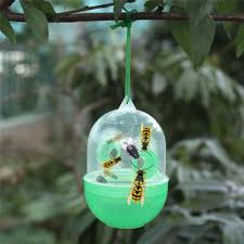 Info bantuan rakyat malaysia : Top 9 Most Popular Racun Lalat Ideas And Get Free Shipping Ed7b6aha
