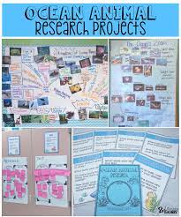 Ocean Animal Research Writing Projects The Resources Used In A Second Grade Classroom To Guide Students Through Ocean Animals Ocean Projects Ocean Activities