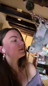 How to Create An African Greg Parrot