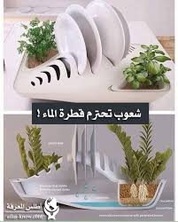 شعوب تحترم قطرة الماء plate holder plates dishes