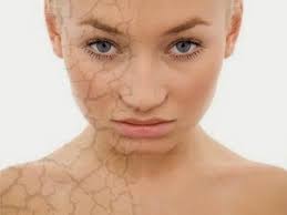 Bees and Trees: 2015