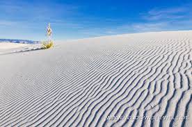 The wind blown sands and rolling dunes of white sands national park blanket an area of 115 square miles in. White Sands National Monument Www Wilde Weite Welt De