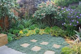 Patterns In The Landscape Succulent Landscape Design Succulent Landscaping Lawn Alternatives